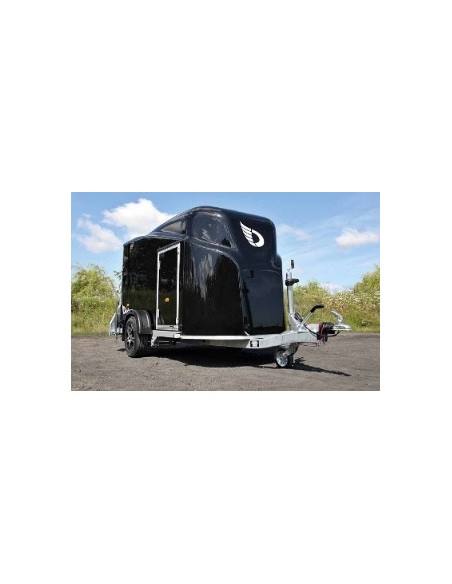 Fourgon cargo 1300 noir avec une porte latérale