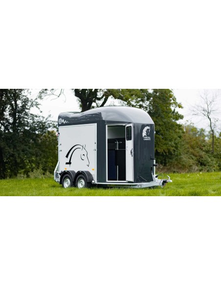 VAN 2000 KG 2 PLACES GOLD 3 COMPOSITE PRIX PROMO SUR STOCK