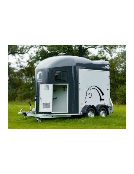 VAN 2000 KG 2 PLACES GOLD 3 COMPOSITE PRIX PROMO SUR STOCK