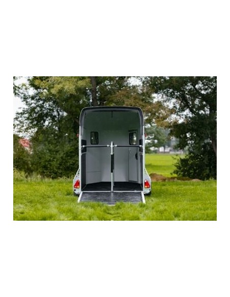 VAN 2000 KG 2 PLACES GOLD 3 COMPOSITE PRIX PROMO SUR STOCK