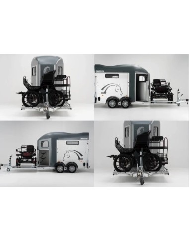 VAN HIPPOMOBILE 2000 KG