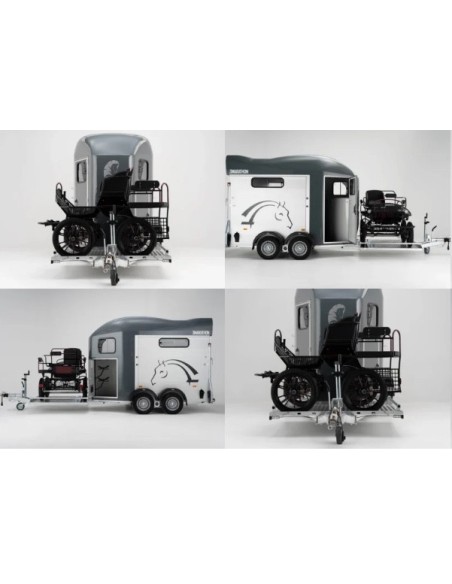 VAN HIPPOMOBILE 2000 KG