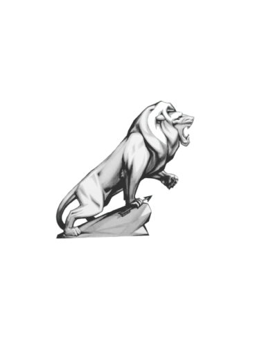 Promo attelage posé PEUGEOT