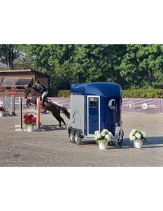 VANS CHEVAL LIBERTE - PRIX ROUEN SALON EQUIPE-NORMANDIE 2
