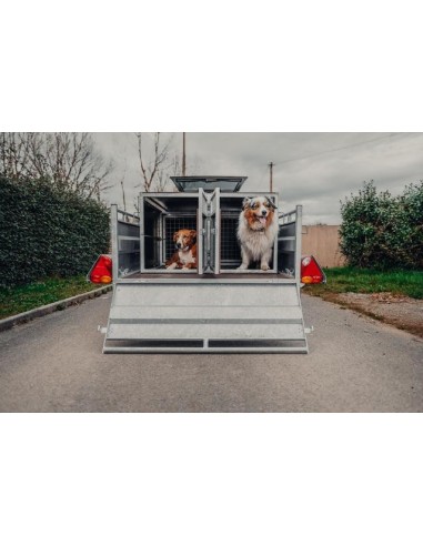 caisse pour 3 chiens lider