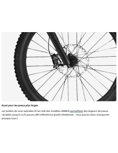 PORTE VELOS AMBER 4 2