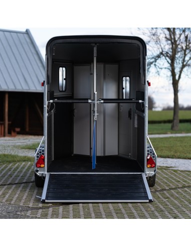 arrière d'un van cheval liberté